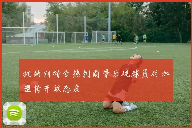 托纳利转会热刺前景乐观球员对加盟持开放态度